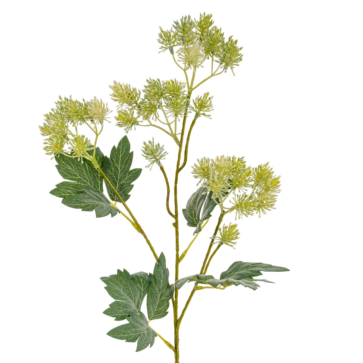 Green French Meadow Spray - image 4