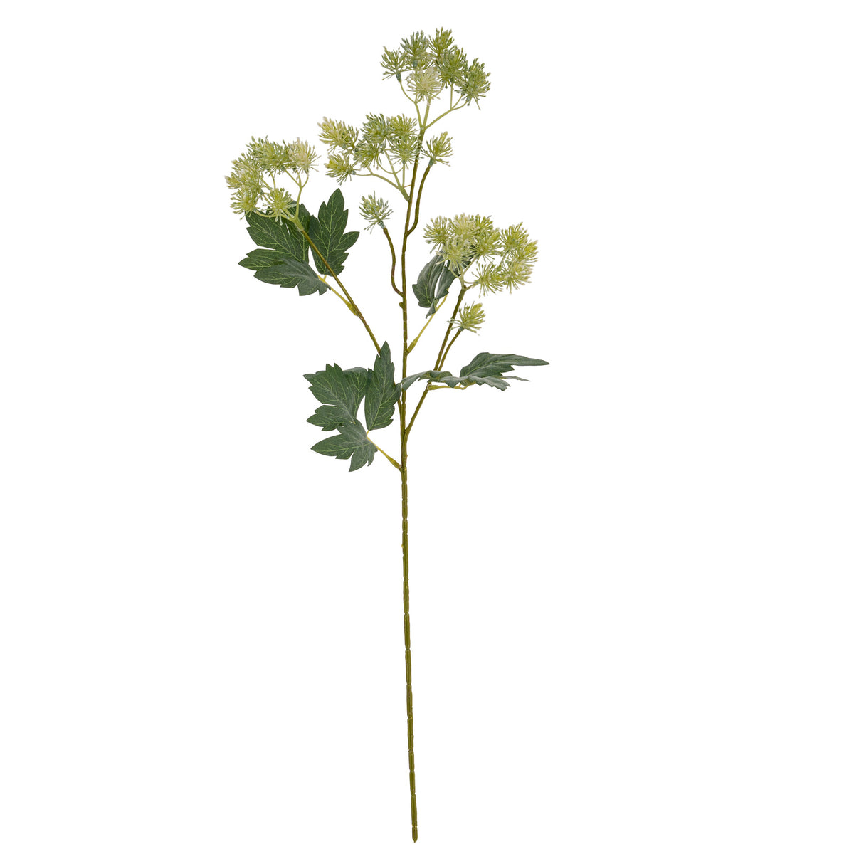 Green French Meadow Spray - image 5