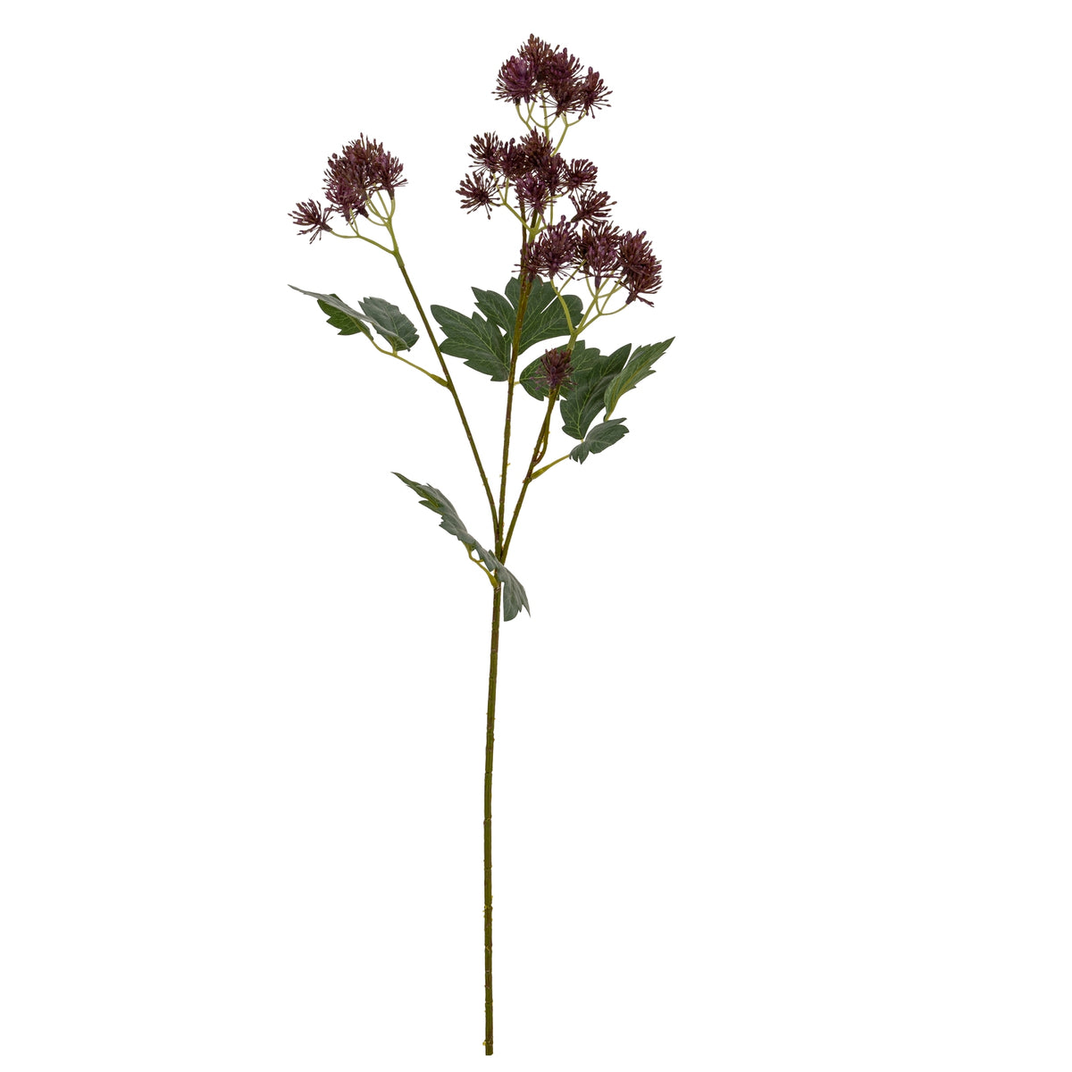 Purple French Meadow Spray - image 4