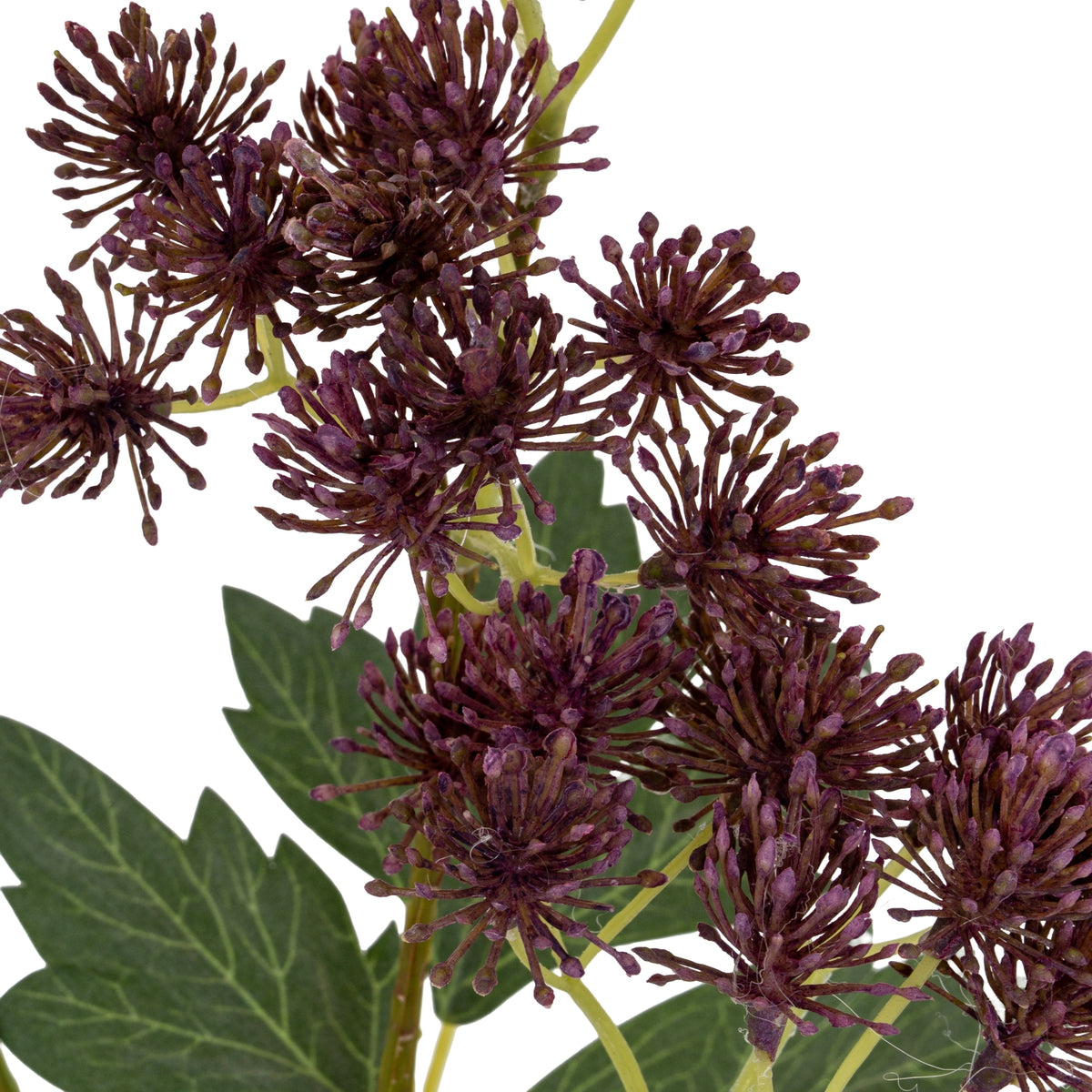 Purple French Meadow Spray - image 5