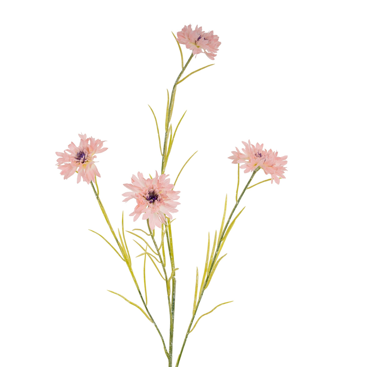 Pink Cornflower Stem - image 1