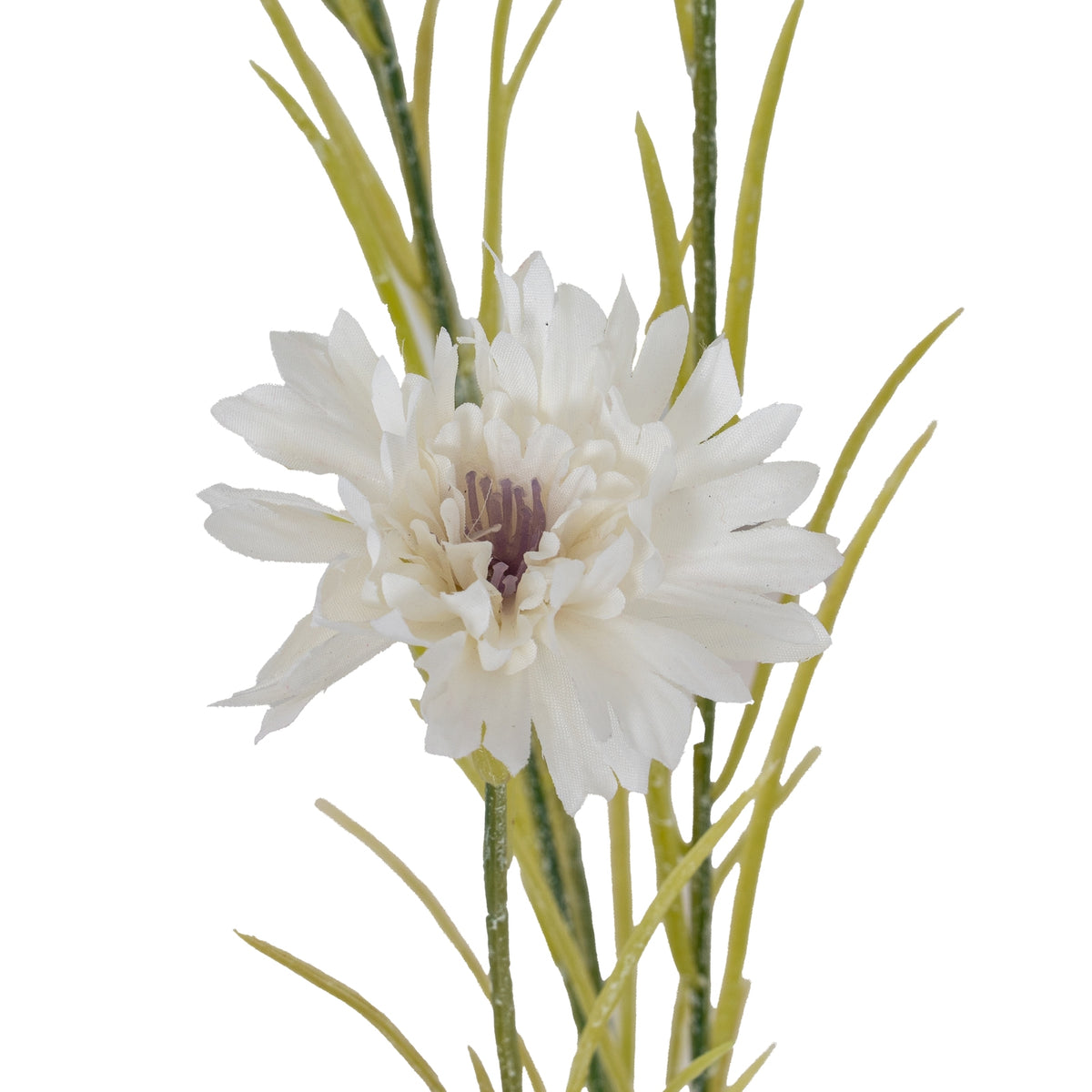 White Cornflower Stem - image 3