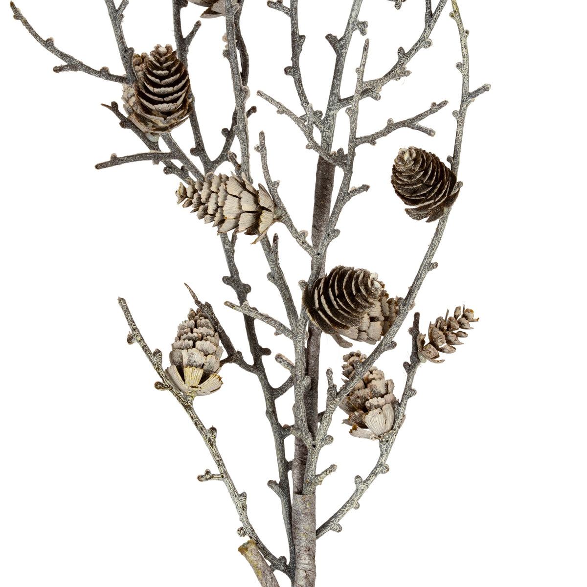 Snowy Winter Woodland Branch With Pinecones - image 2